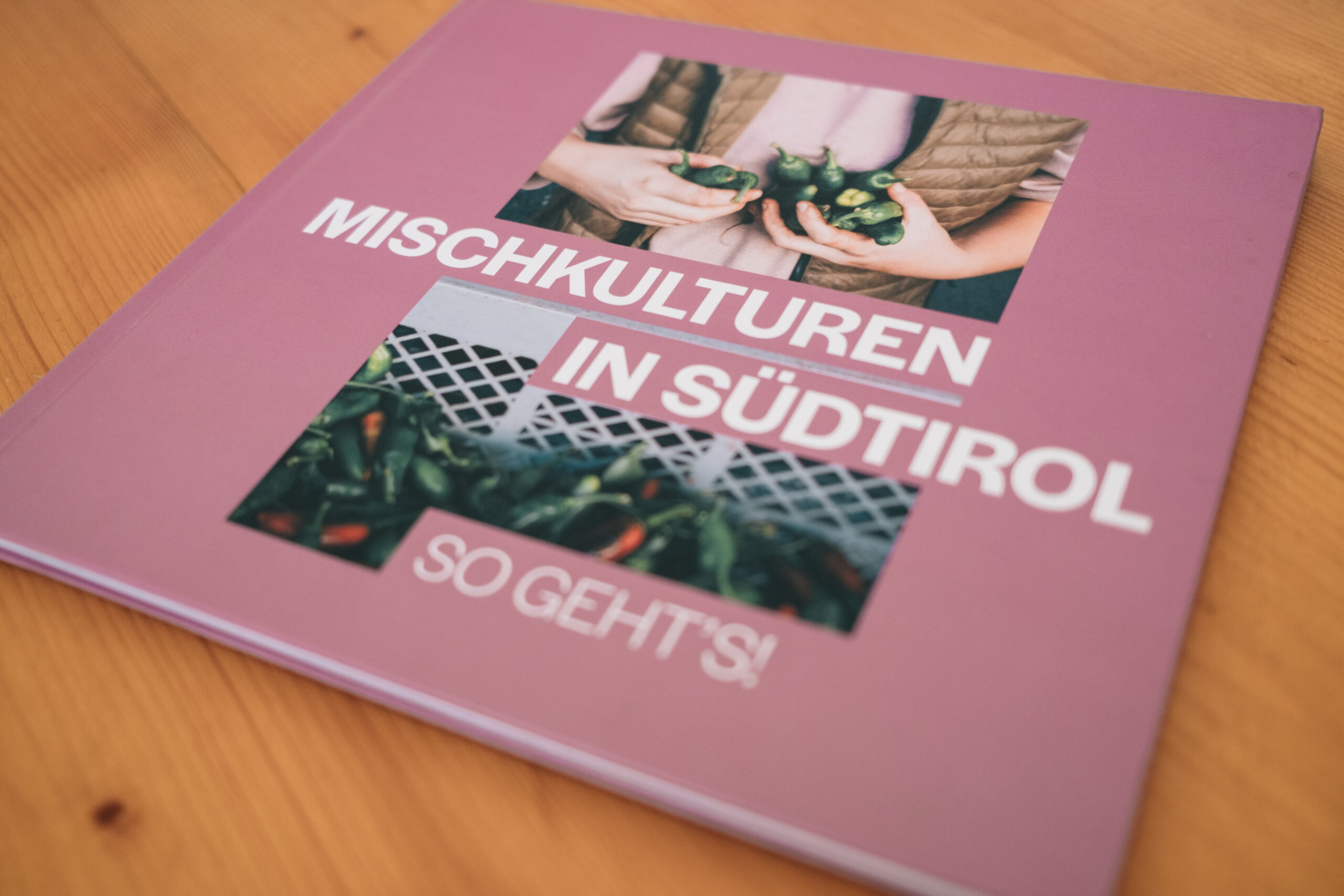 Mischkulturen Südtirol1