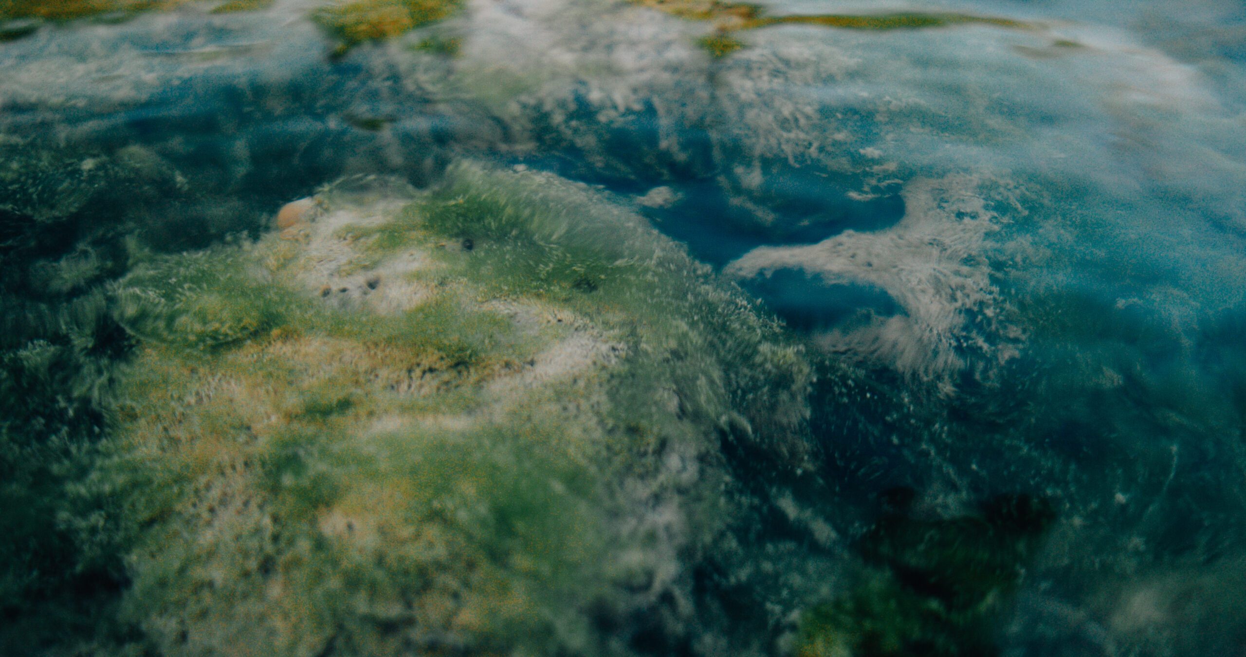 Still 2025-12-01 153445_1.194.1