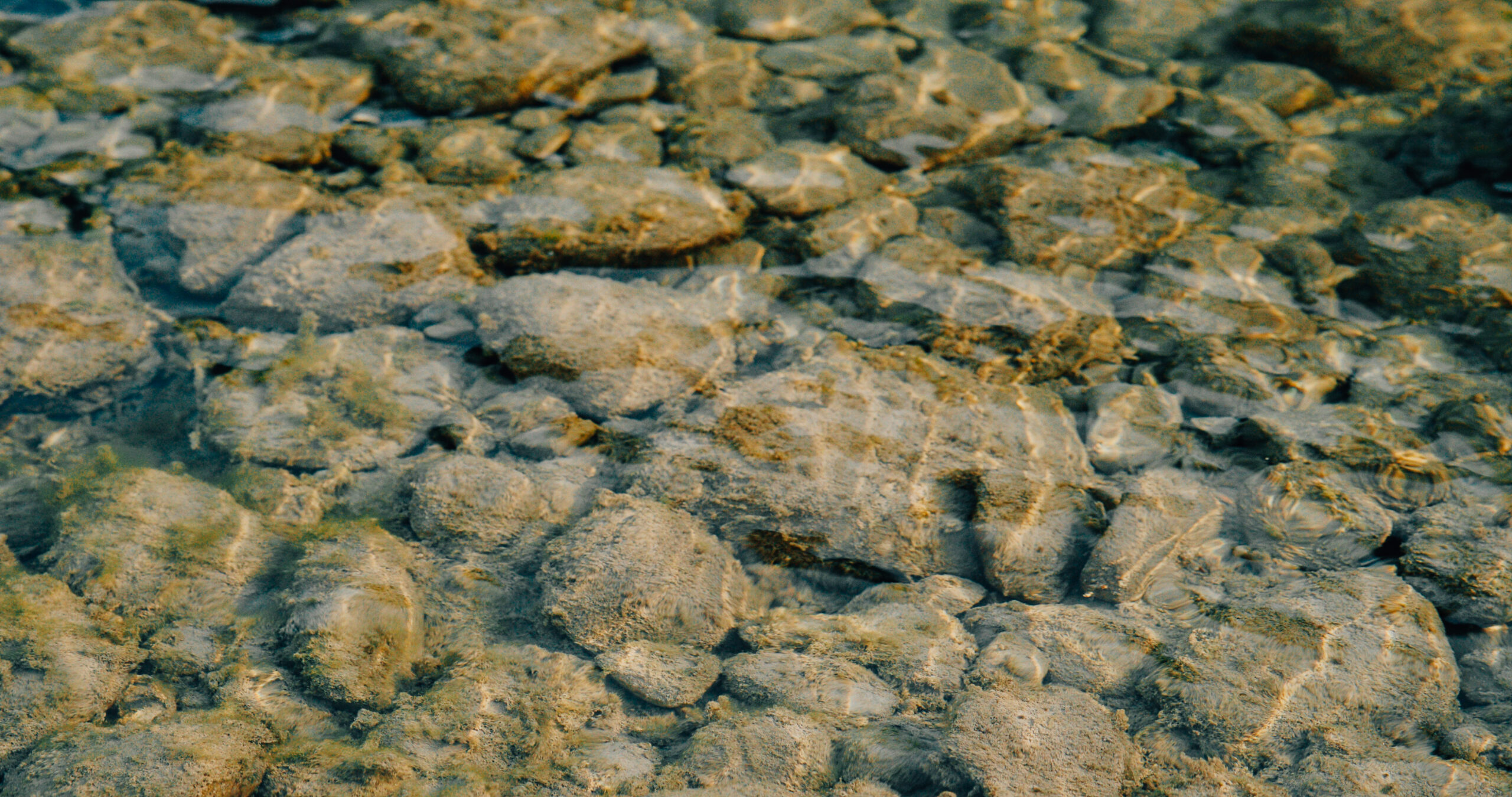 Still 2025-12-01 153445_1.196.1