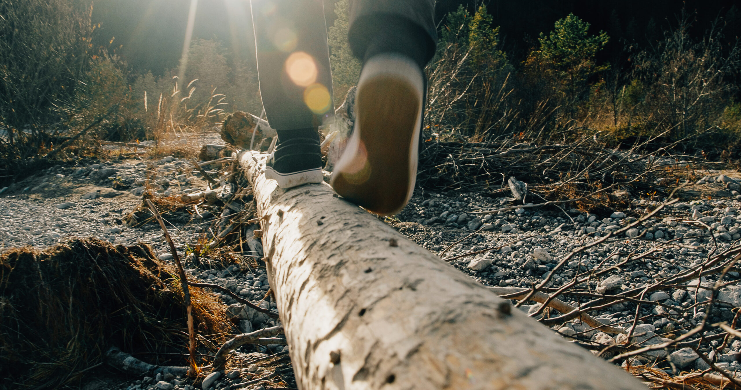 Still 2025-12-01 153445_2.45.1